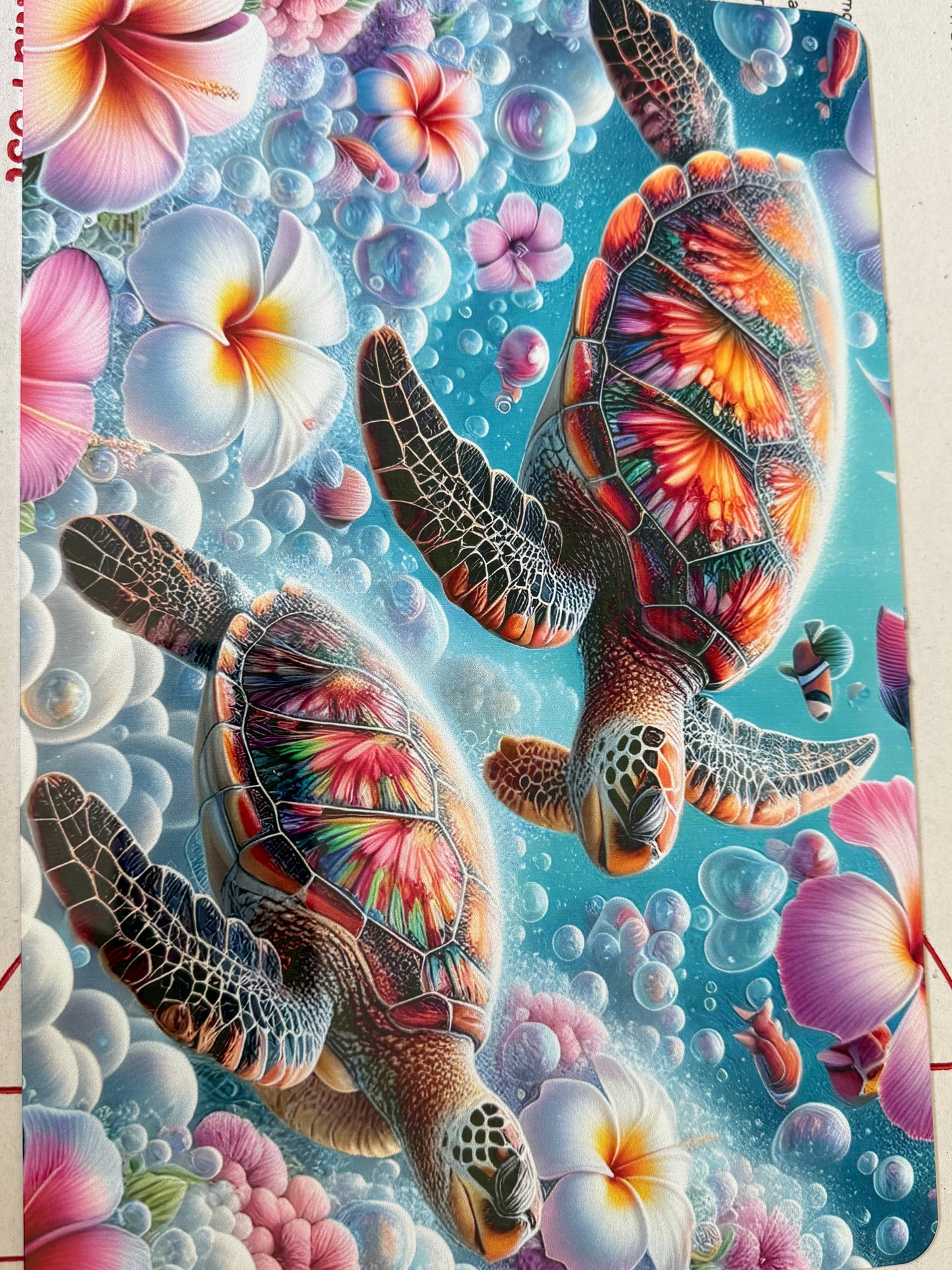 Turtle poster board a4