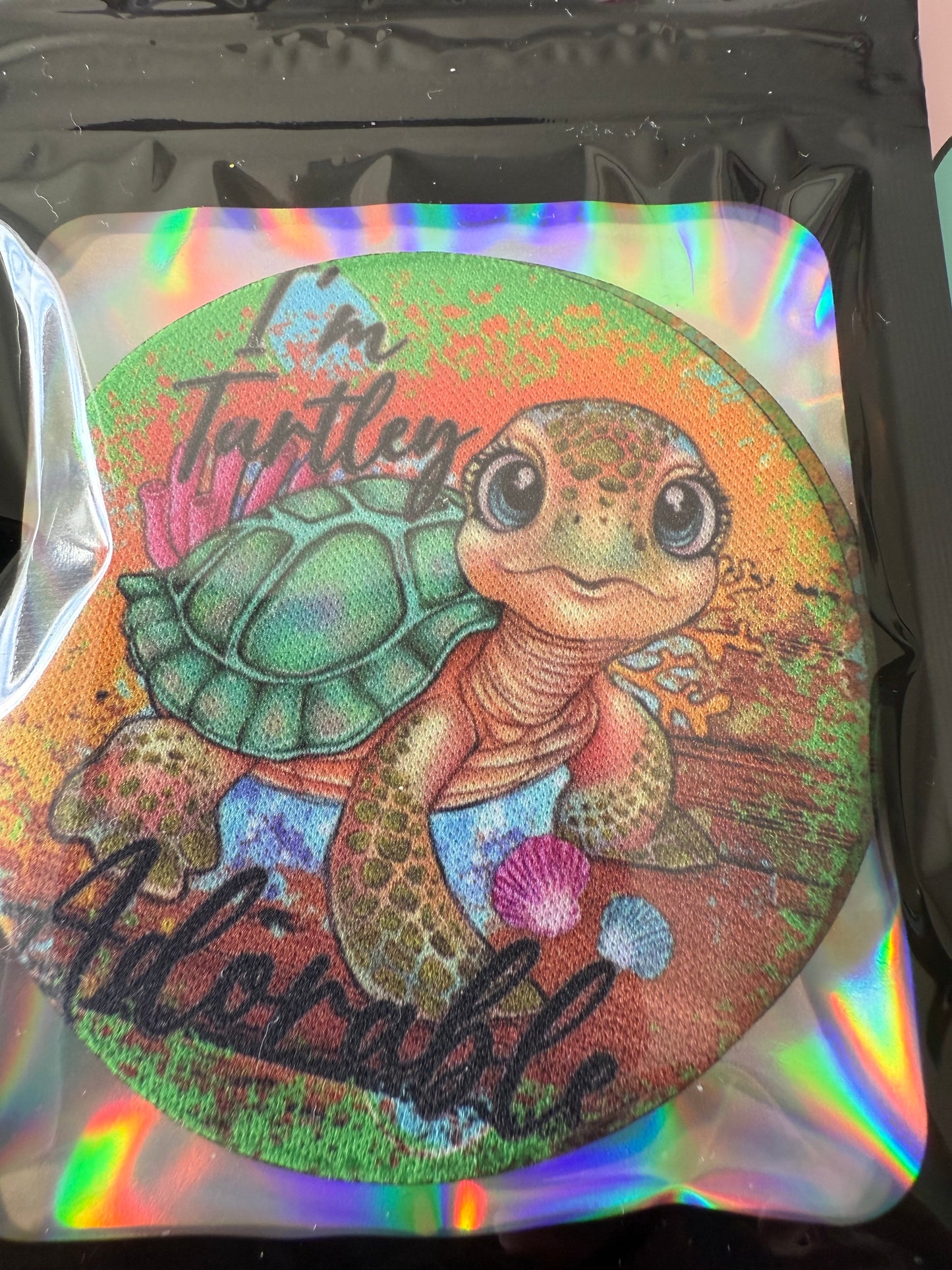 Turtle 2 car coasters