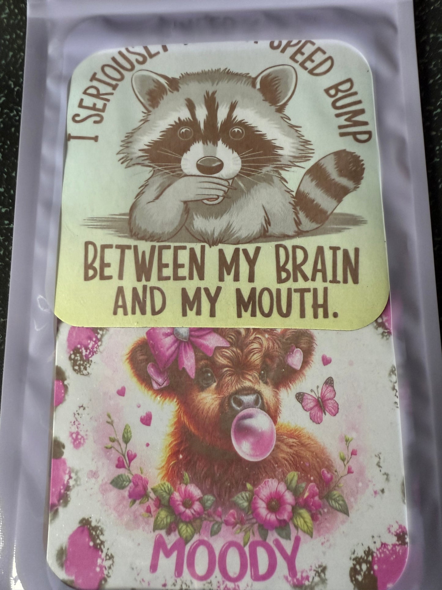 Raccoon and cow magnet