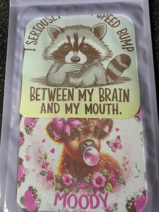 Raccoon and cow magnet