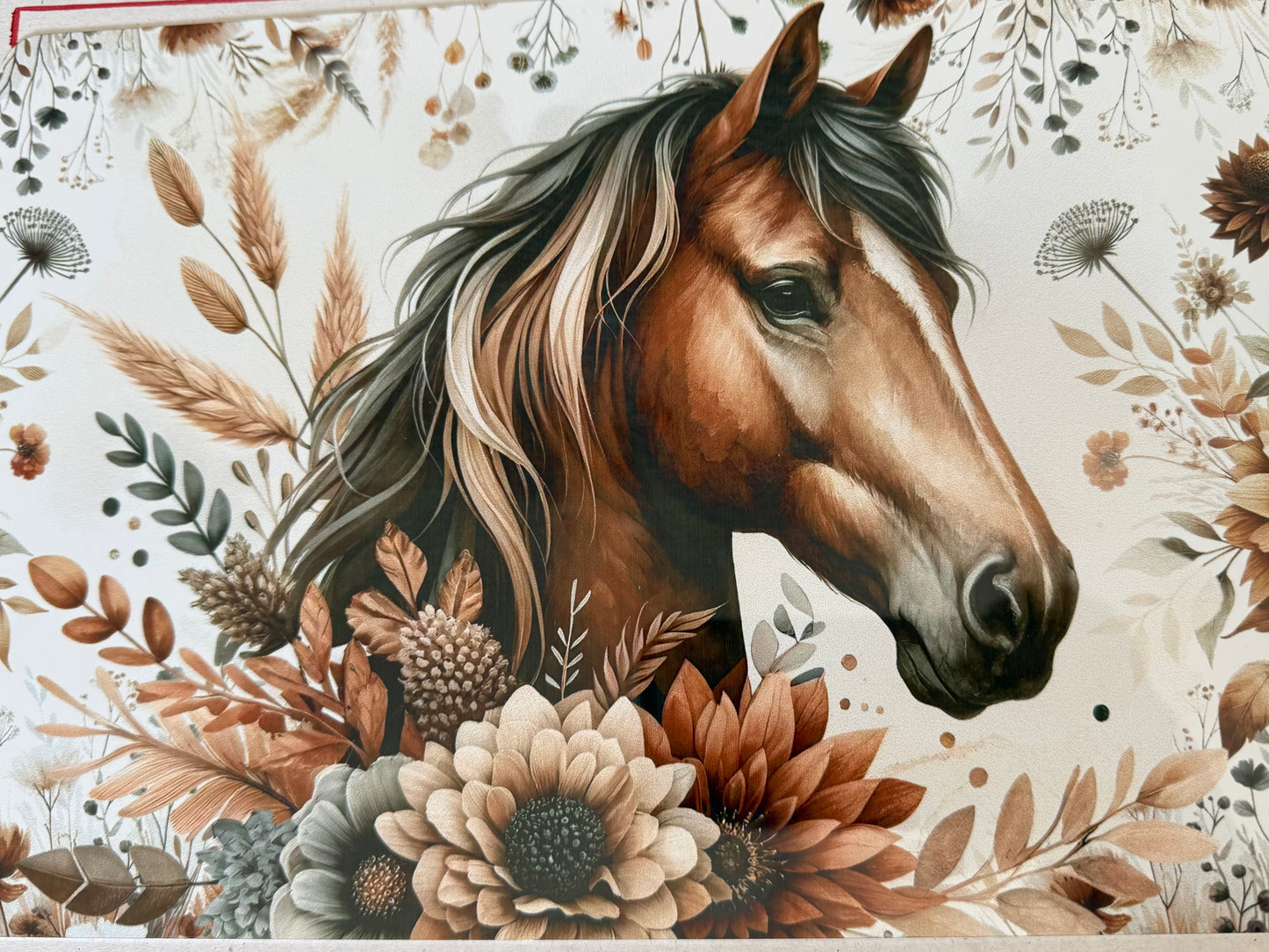 Horse Poster board A4